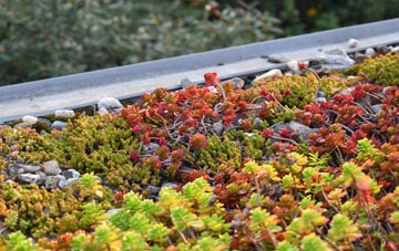 the cost of Goodleigh green roof installation